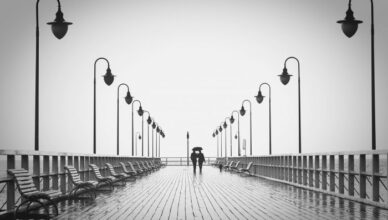 We used to lay on our backs and dream dreams Of a future that was bright and it seemed