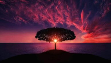 Maintaining love over the long term